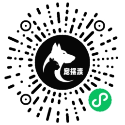 宠摆渡小程序二维码